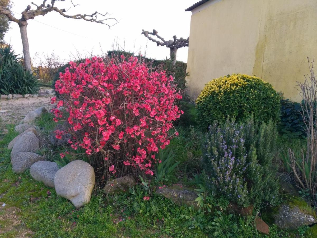 Casa Rural "Can Abres" Vilobi D'Onyar Girona Viloví de Oñar المظهر الخارجي الصورة