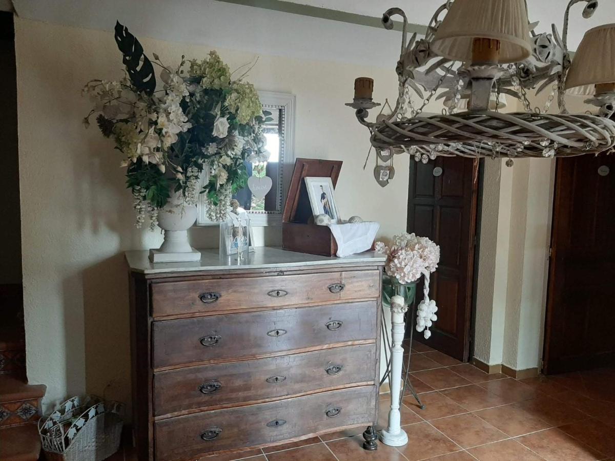 Casa Rural "Can Abres" Vilobi D'Onyar Girona Viloví de Oñar المظهر الخارجي الصورة
