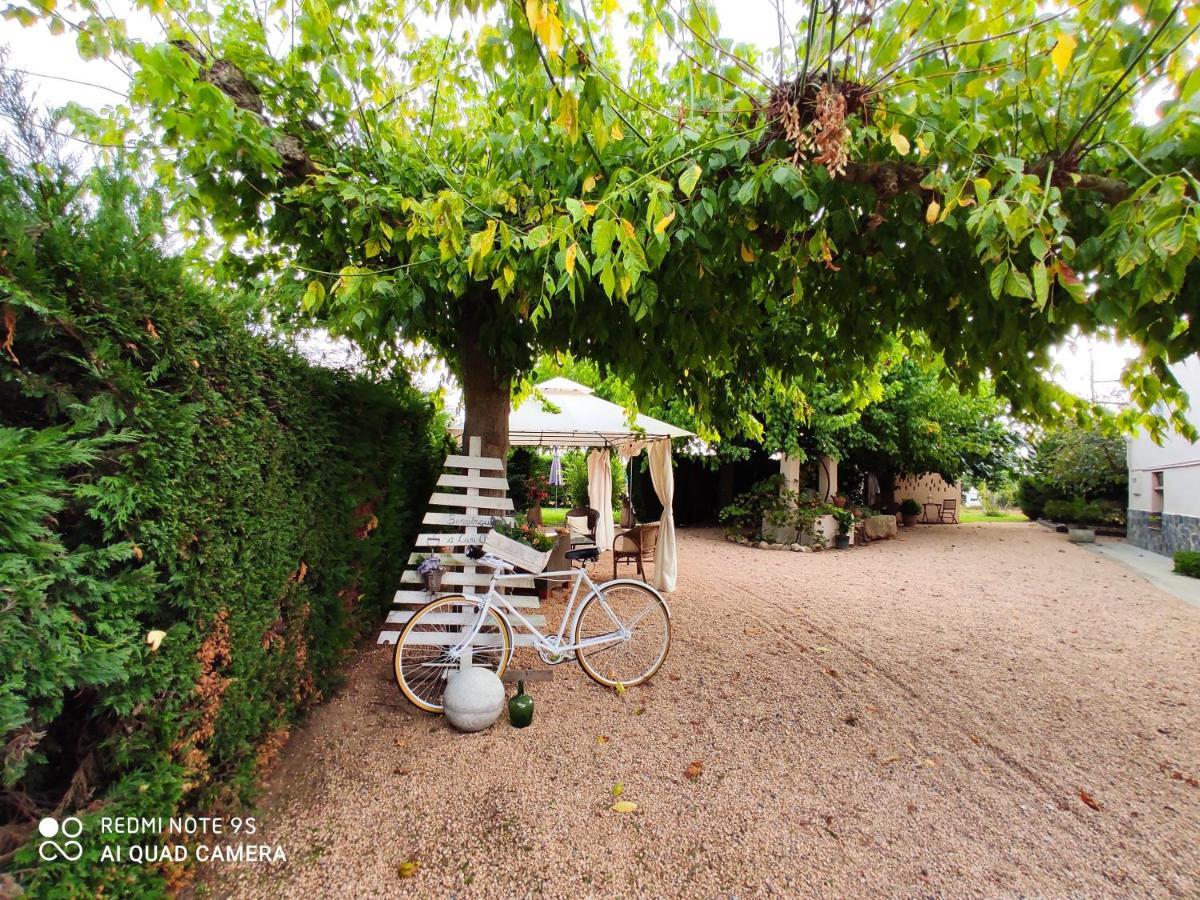 Casa Rural "Can Abres" Vilobi D'Onyar Girona Viloví de Oñar المظهر الخارجي الصورة